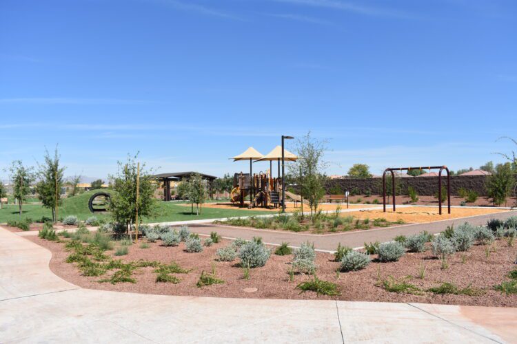 plant landscaping around playground