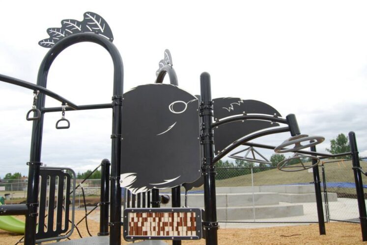 playground equipment with bird shape