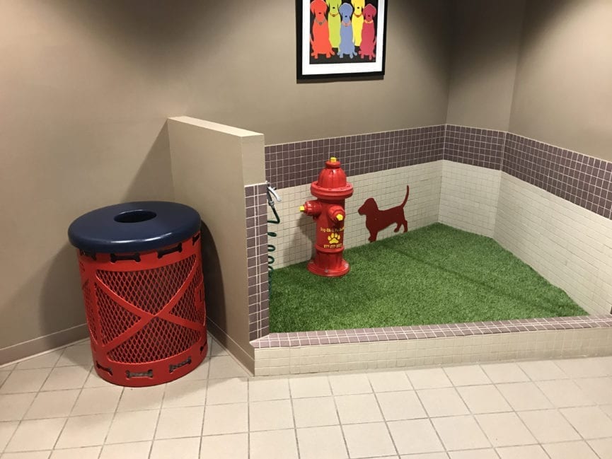 El Paso International Airport Dog Relief Station, El Paso, TX
