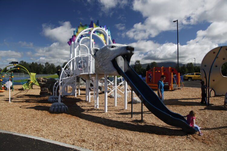 playground equipment with polar bear slide