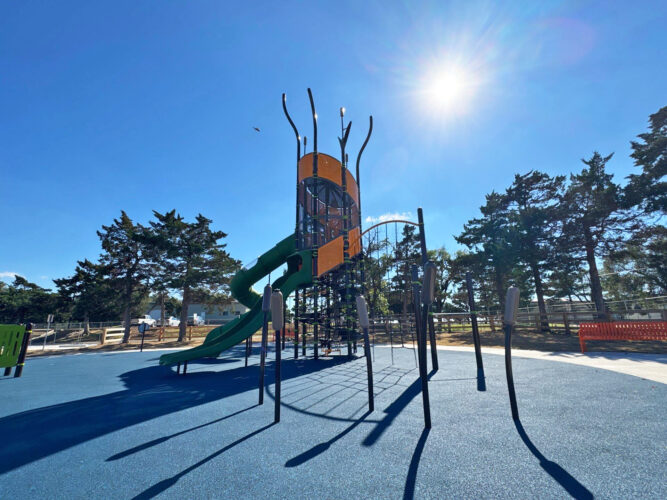 Zoo themed playground with shade in Amarillo, TX