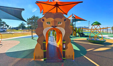 Zoo themed playground with shade in Amarillo, TX